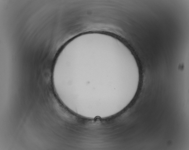 X0000113201505200910081238