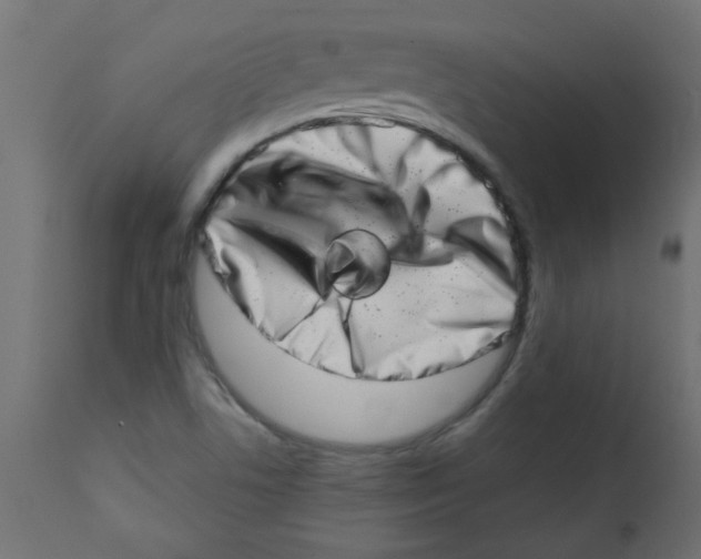 X0000113201506200910081238