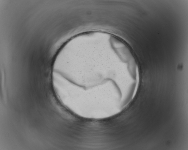 X0000113201507200910081239