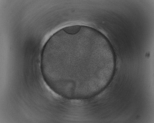 X0000113201508200910081239