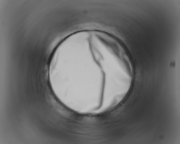 X0000113201509200910081239