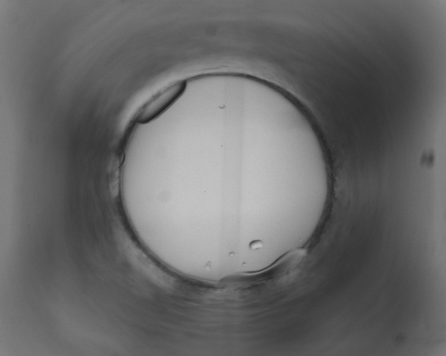 X0000113201510200910081239