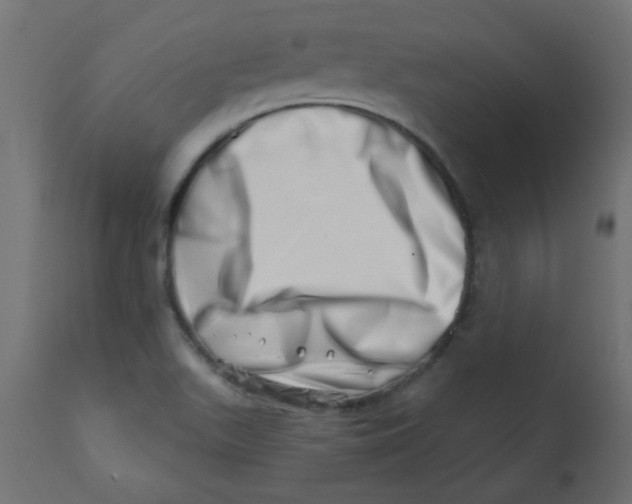 X0000113201511200910081239