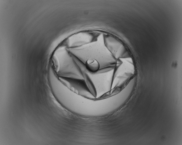 X0000113201512200910081239