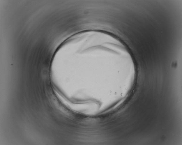 X0000113201513200910081239