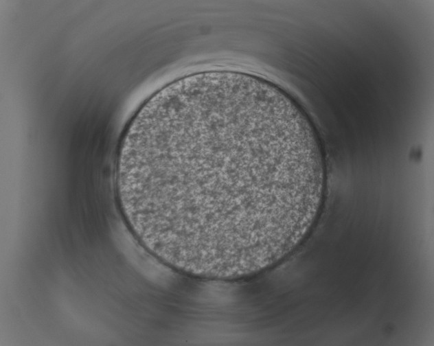 X0000113201514200910081239