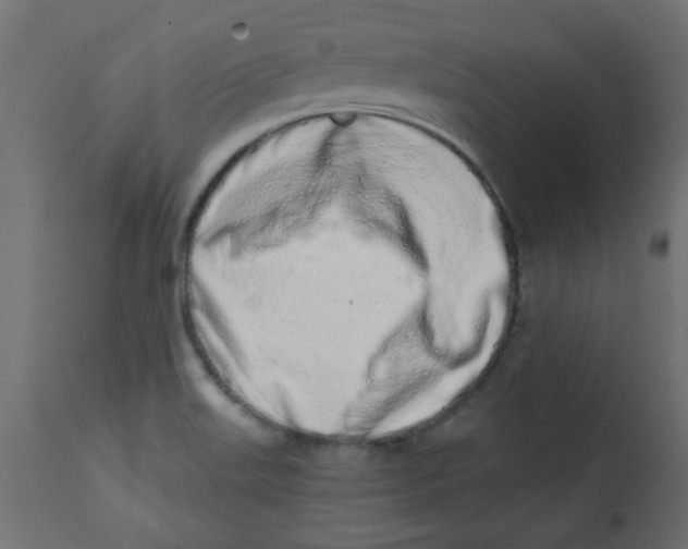 X0000113201515200910081239