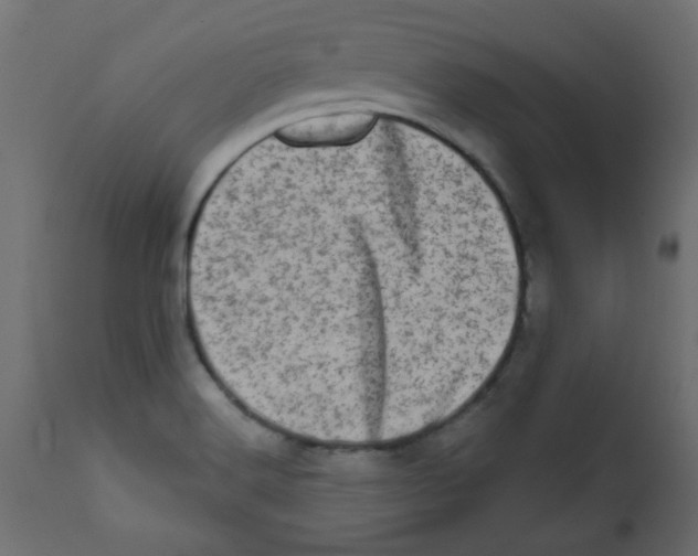 X0000113201516200910081239