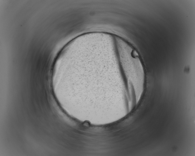 X0000113201517200910081239