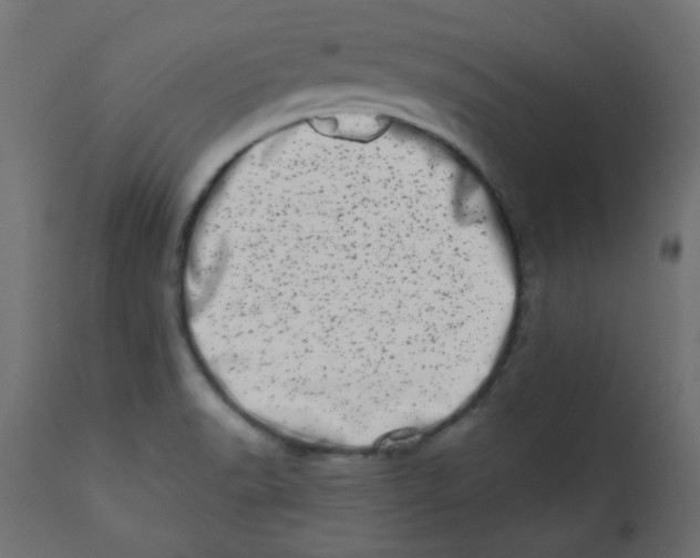 X0000113201518200910081239