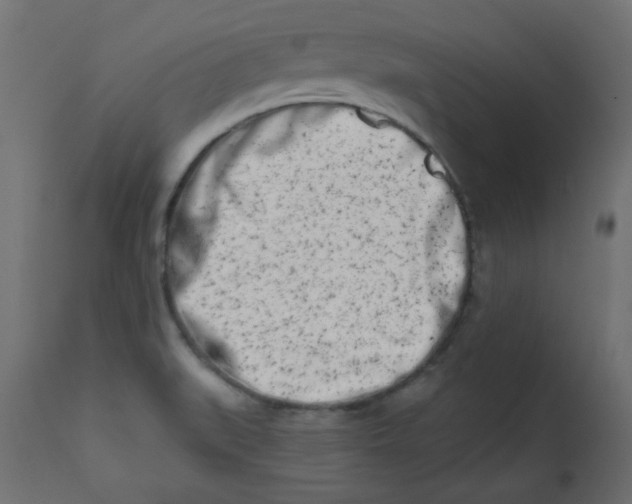 X0000113201519200910081239