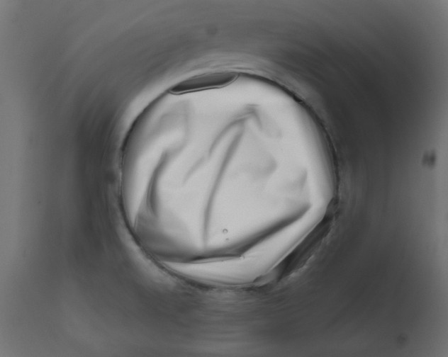 X0000113201520200910081239