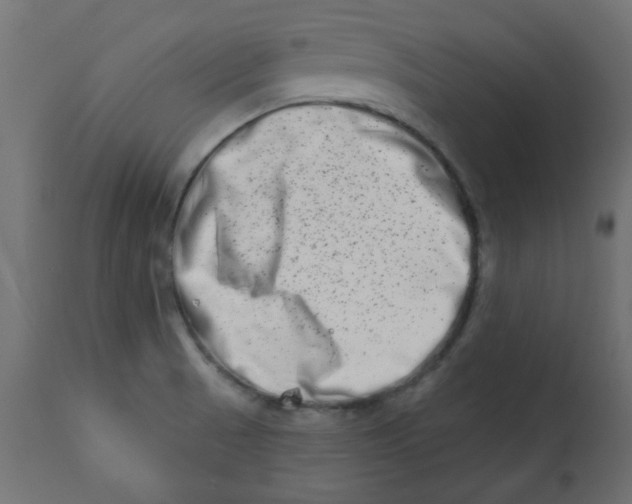 X0000113201521200910081239