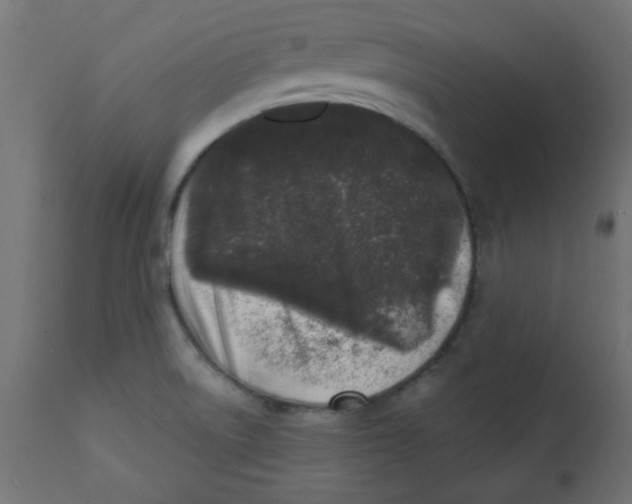 X0000113201522200910081239