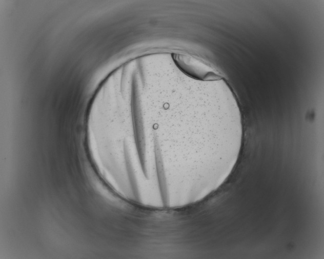 X0000113201523200910081239