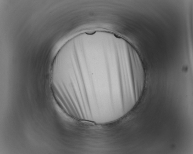 X0000113201524200910081239