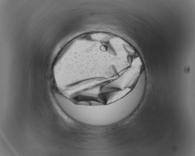 X0000113201525200910081239