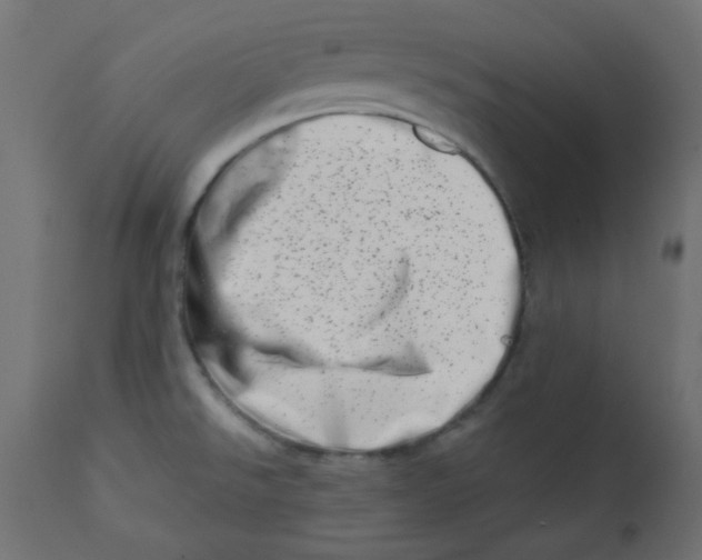 X0000113201526200910081239