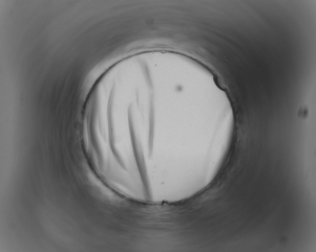 X0000113201527200910081239