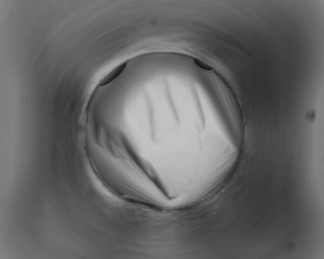 X0000113201528200910081239