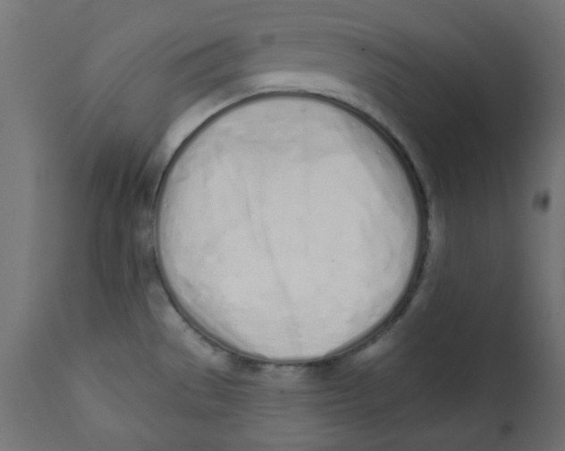 X0000113201529200910081239