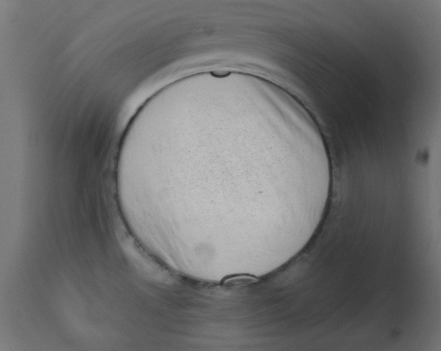 X0000113201530200910081239