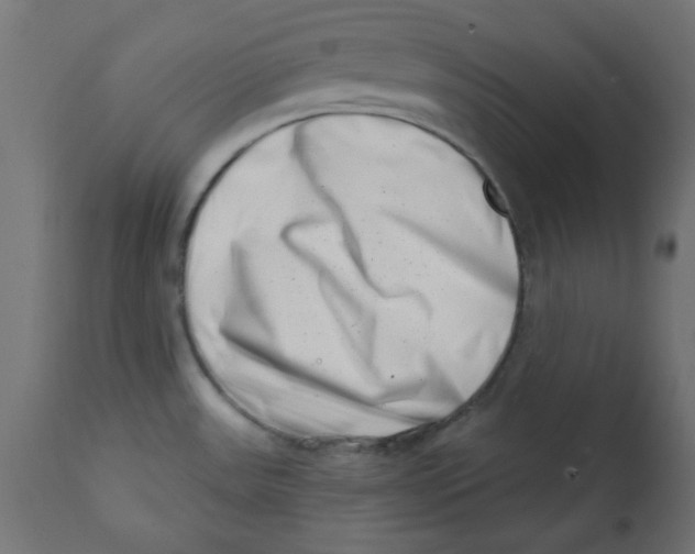 X0000113201531200910081239