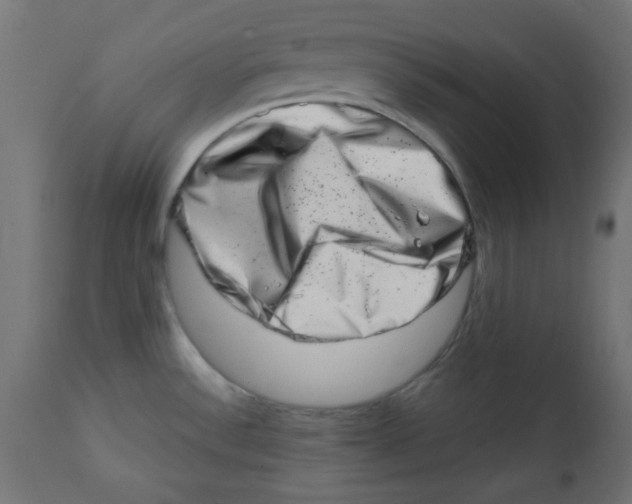 X0000113201532200910081239