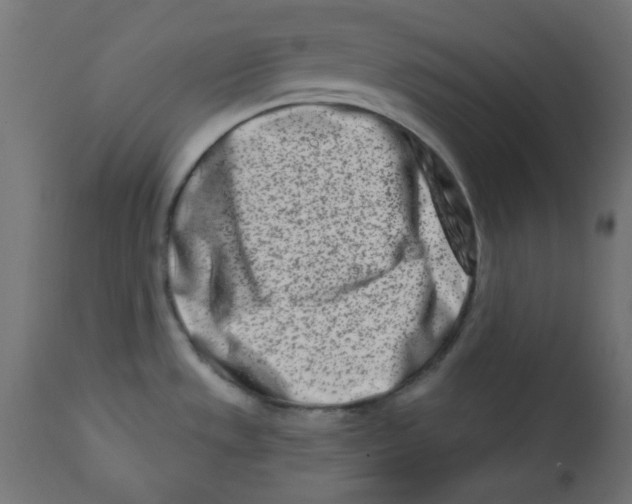 X0000113201533200910081239