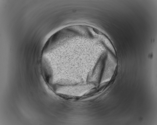 X0000113201534200910081239