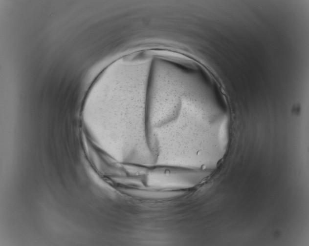 X0000113201535200910081239