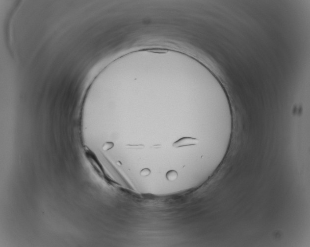 X0000113201536200910081239