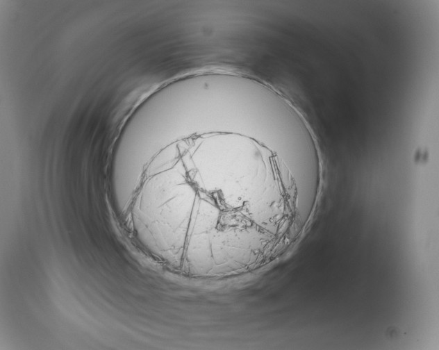 X0000113200001200910221050