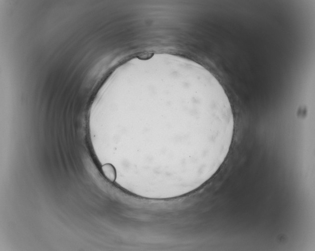 X0000113200002200910221050