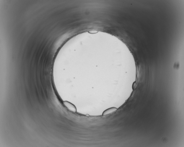 X0000113200003200910221050