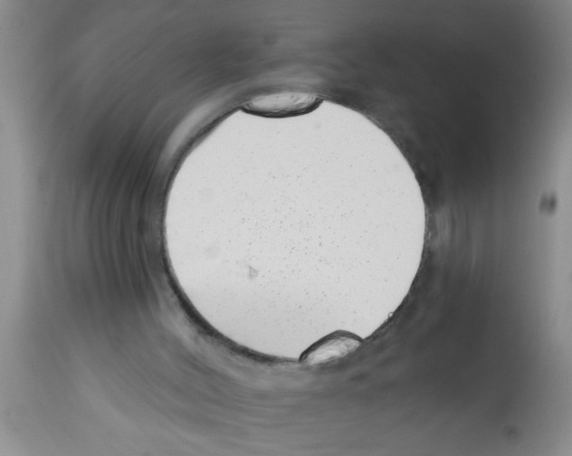 X0000113200004200910221050