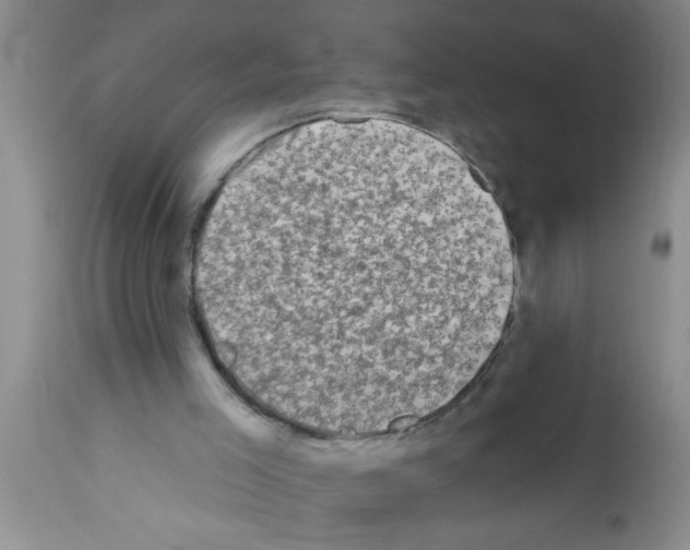 X0000113200005200910221050