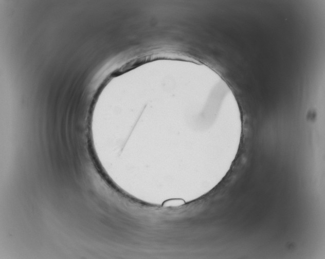 X0000113200007200910221050