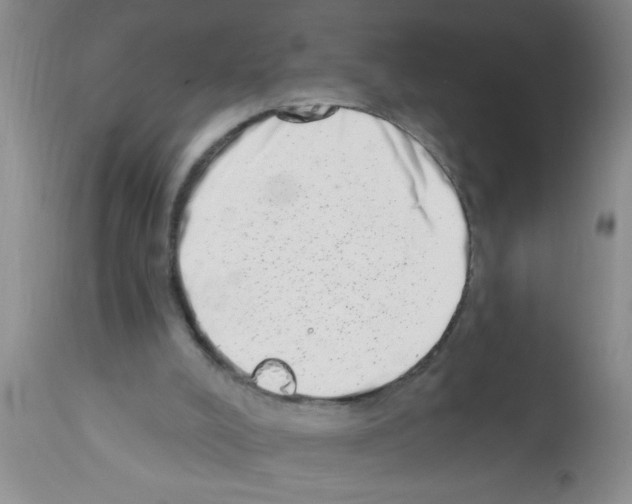 X0000113200008200910221050