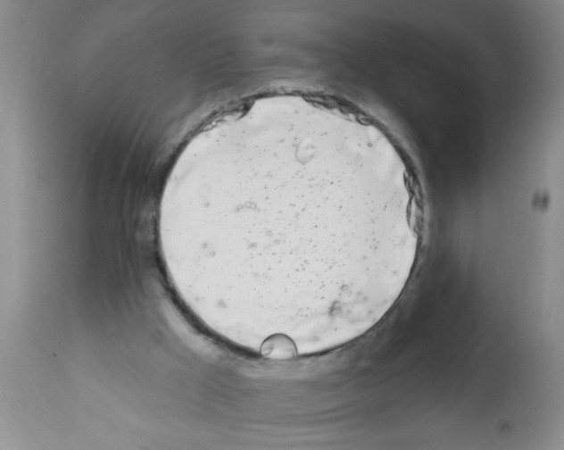 X0000113200009200910221050