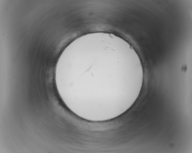 X0000113200010200910221050