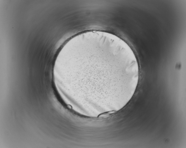 X0000113200011200910221050