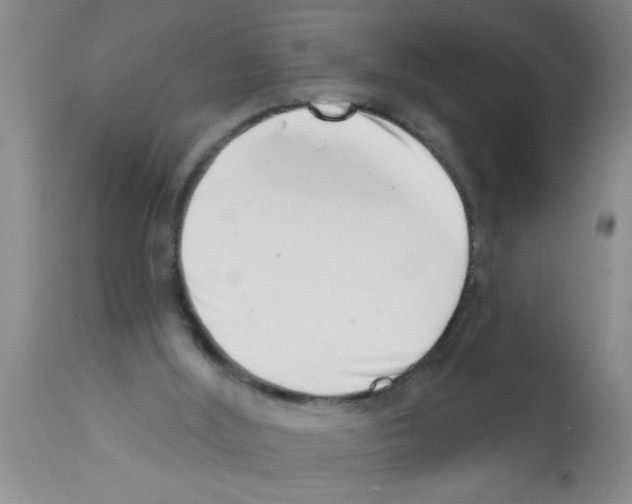X0000113200012200910221050