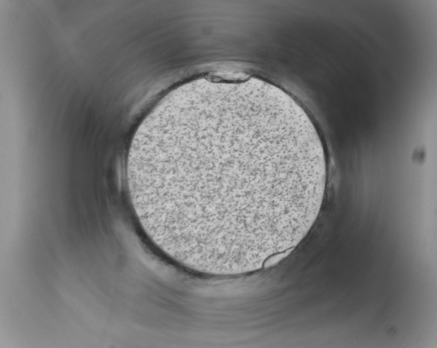 X0000113200013200910221050
