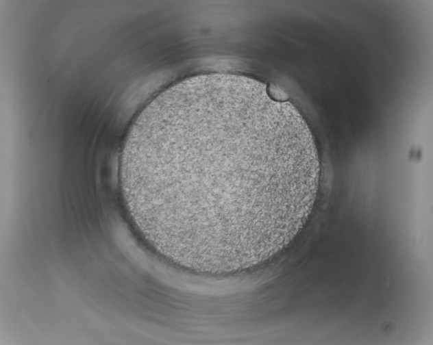 X0000113200014200910221050