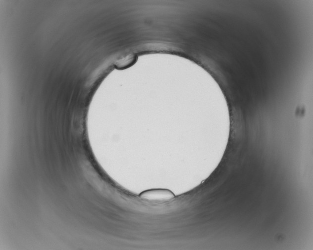X0000113200015200910221050