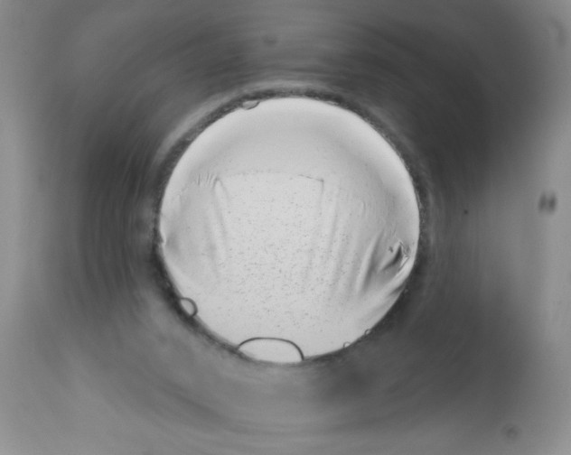 X0000113200016200910221050