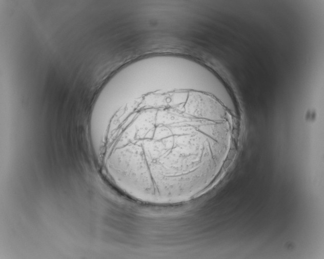 X0000113200017200910221050