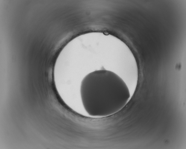 X0000113200019200910221050