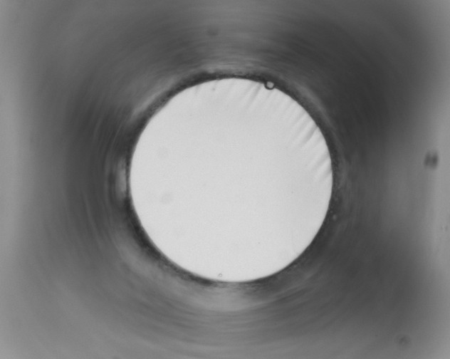 X0000113200020200910221050